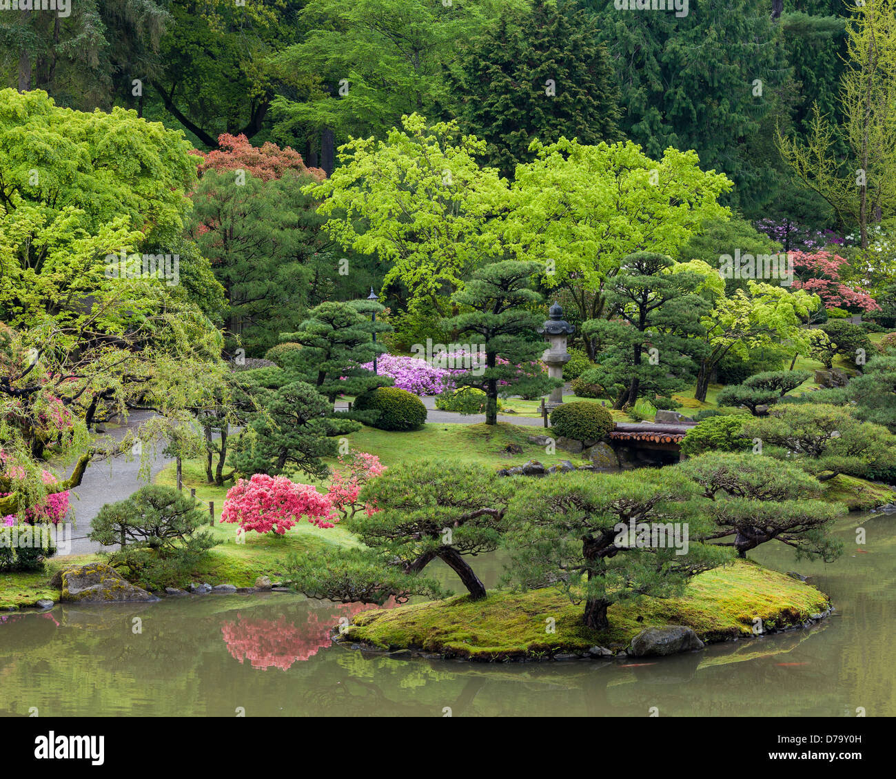 Seattle, WA: Spring view of the lake of the Japanese Garden in Washington Park Arboretum Stock Photo