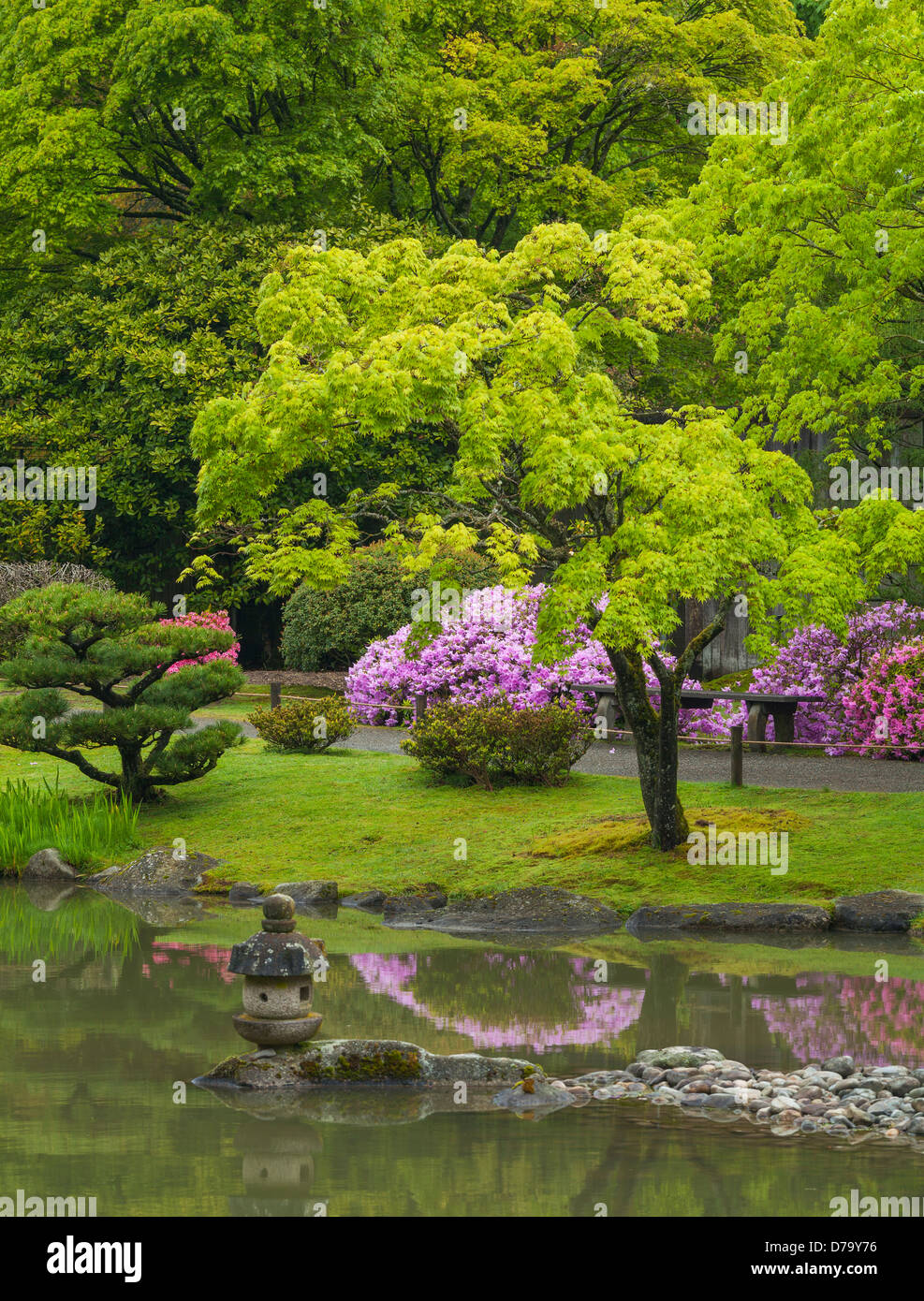 Seattle, WA: Spring view of the lake of the Japanese Garden in ...