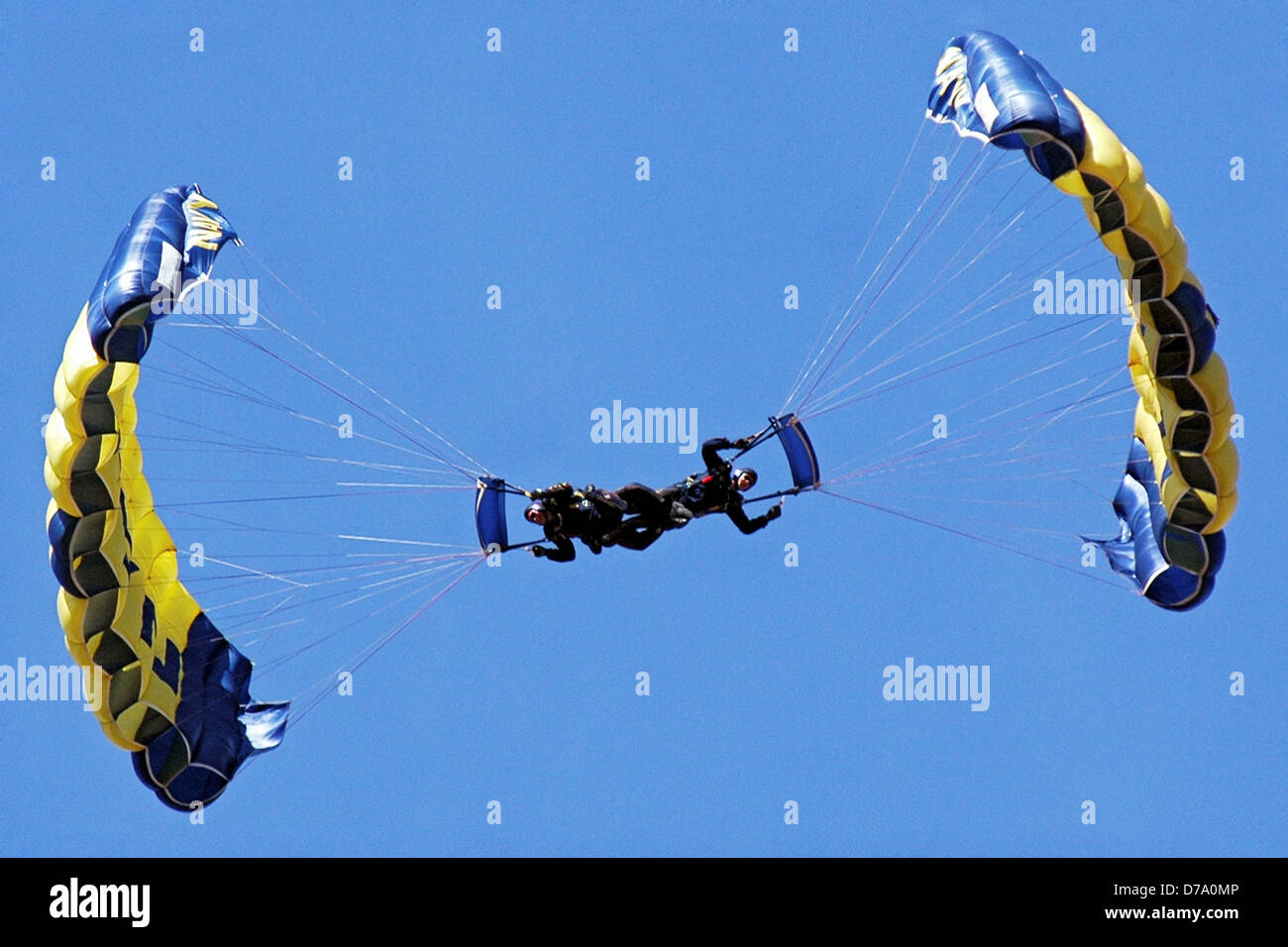 U.S. Navy Parachute Team Leap Frogs Descend into San Diego's Qualcomm Stadium Stock Photo