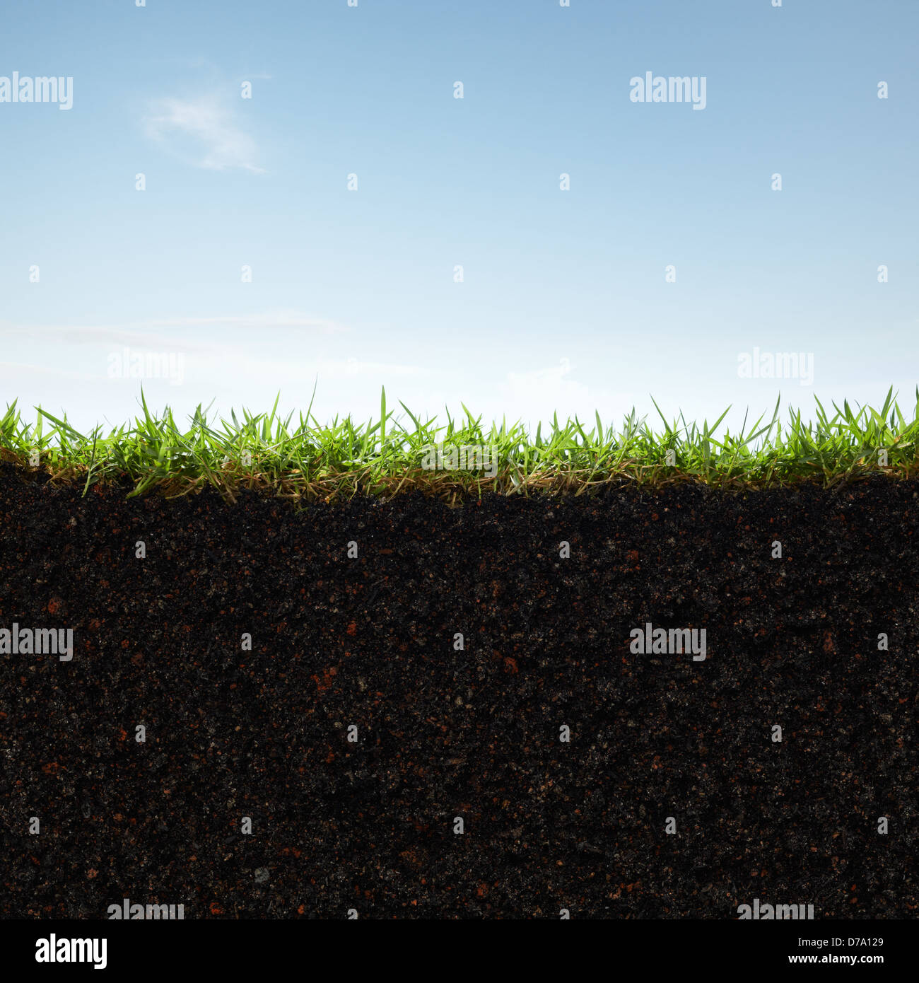 山元彩香We are made of Grass, Soil and Trees We are Made of Grass, Soil, Trees 山元彩香