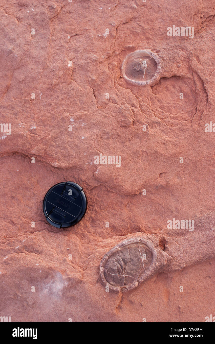 USA Arizona Fossil nodules in former stream bed in northern Arizona Stock Photo