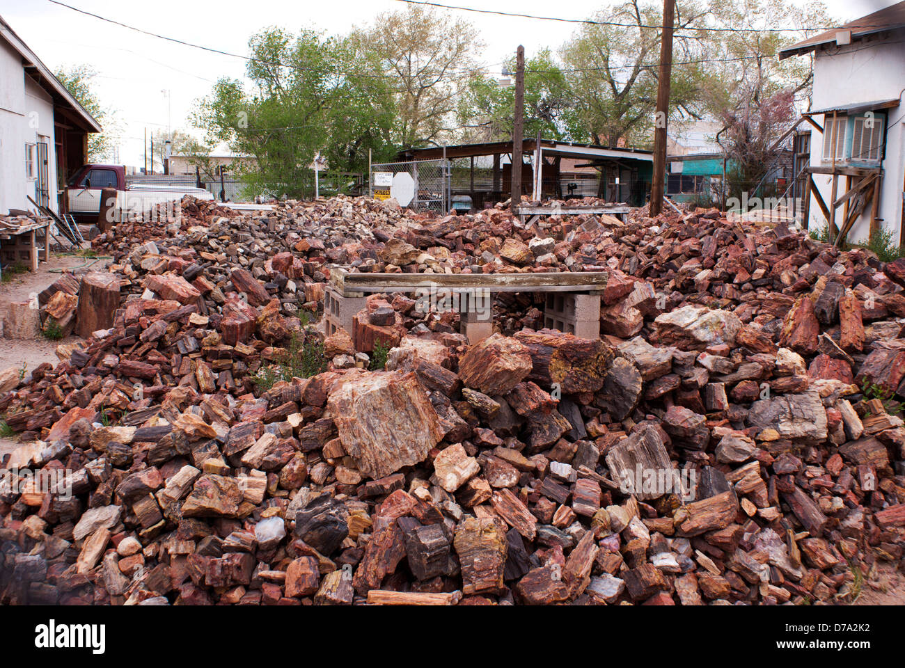 USA Arizona Petrified wood sale at rock shop in Holbrook Stock Photo
