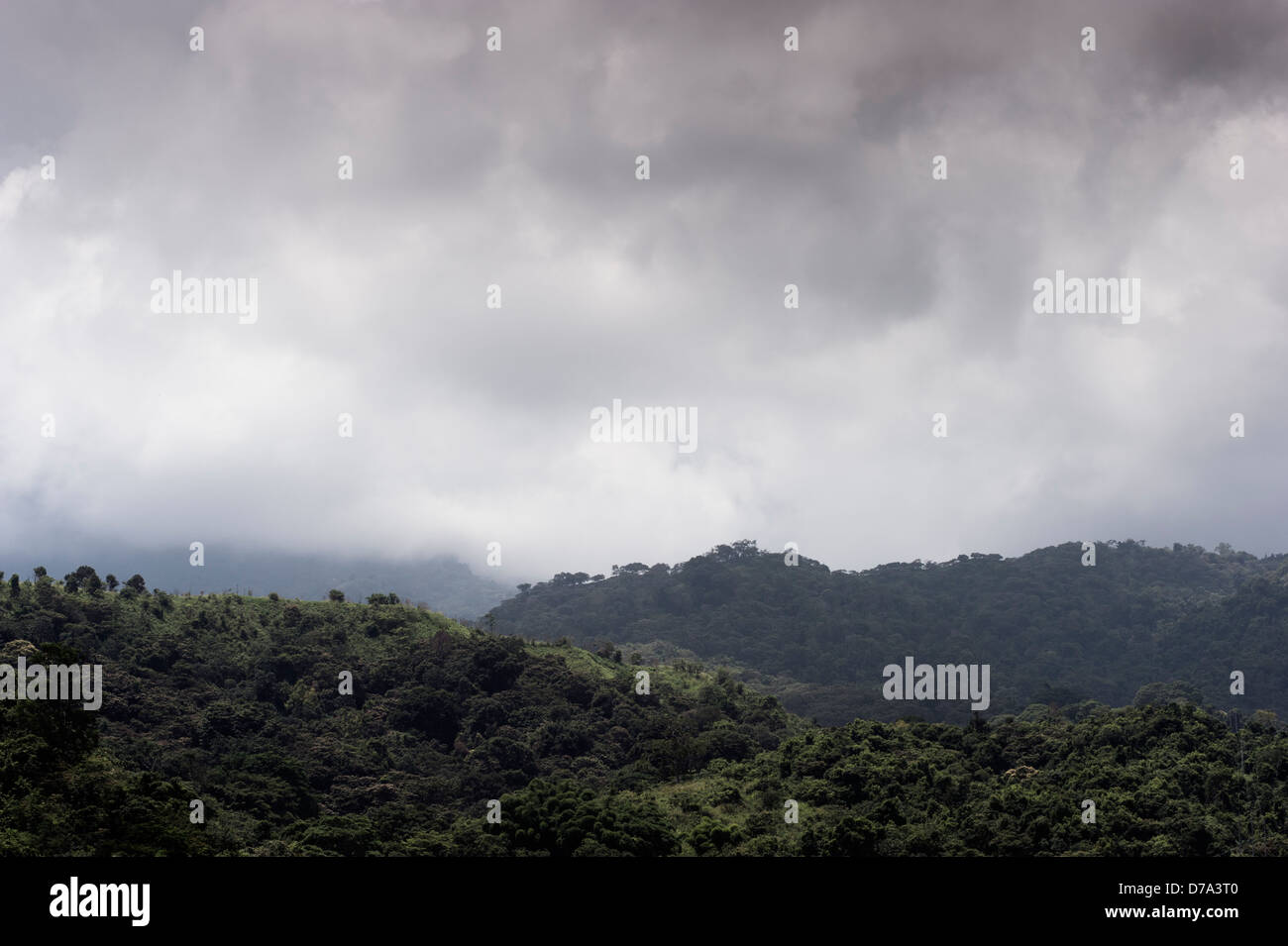 Colombia - cloud cover over the tropical rain forest of the Sierra Nevada de Santa Marta Stock Photo