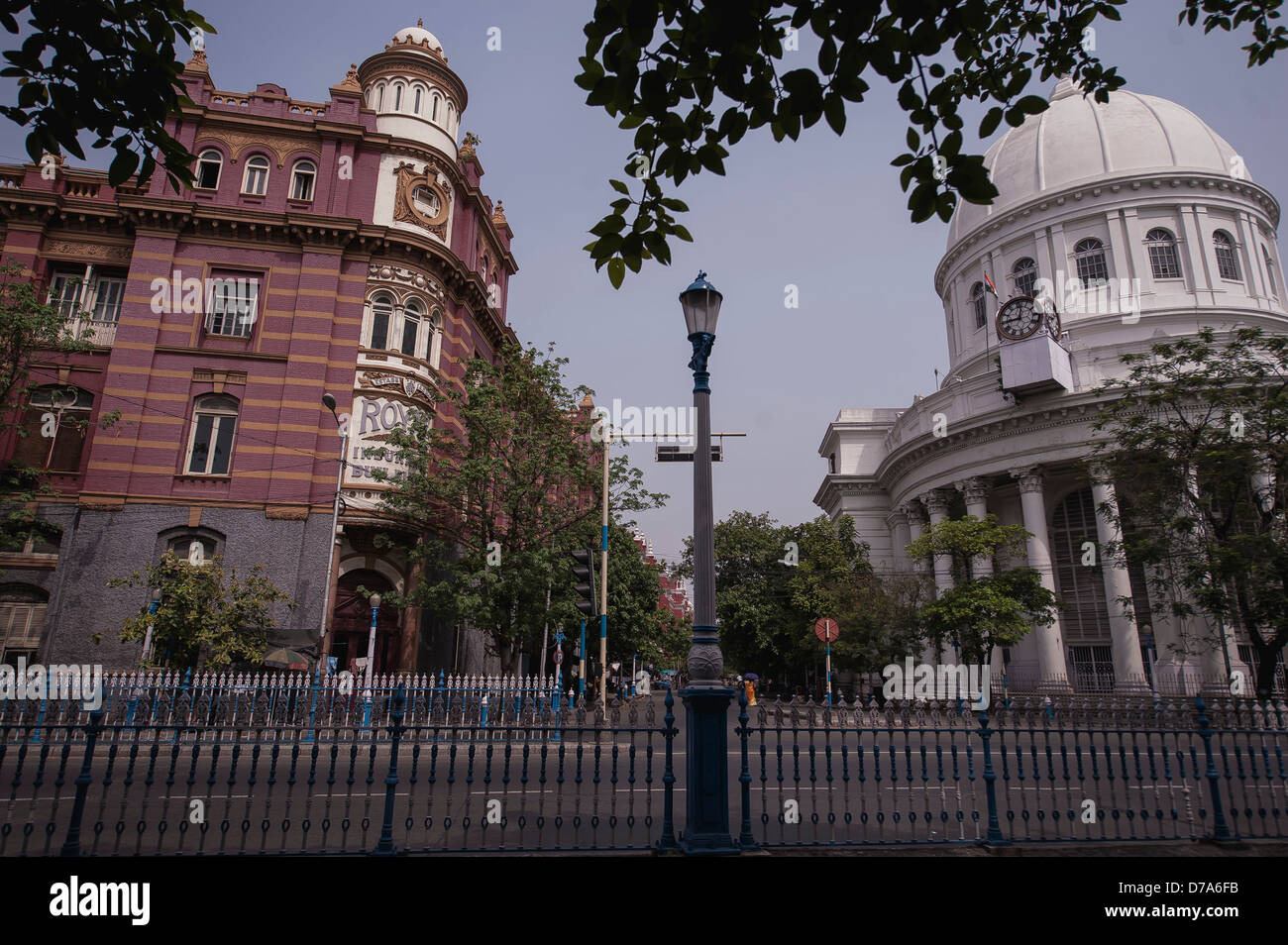 Calcutta imperial, Stock Photo