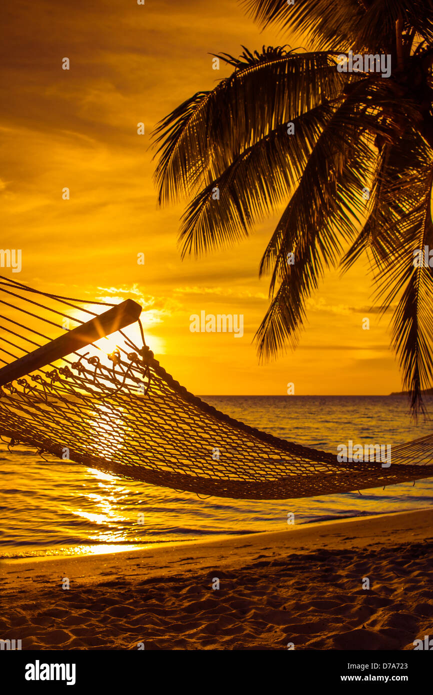 Beautiful sunset palm tree on hi-res stock photography and images - Alamy