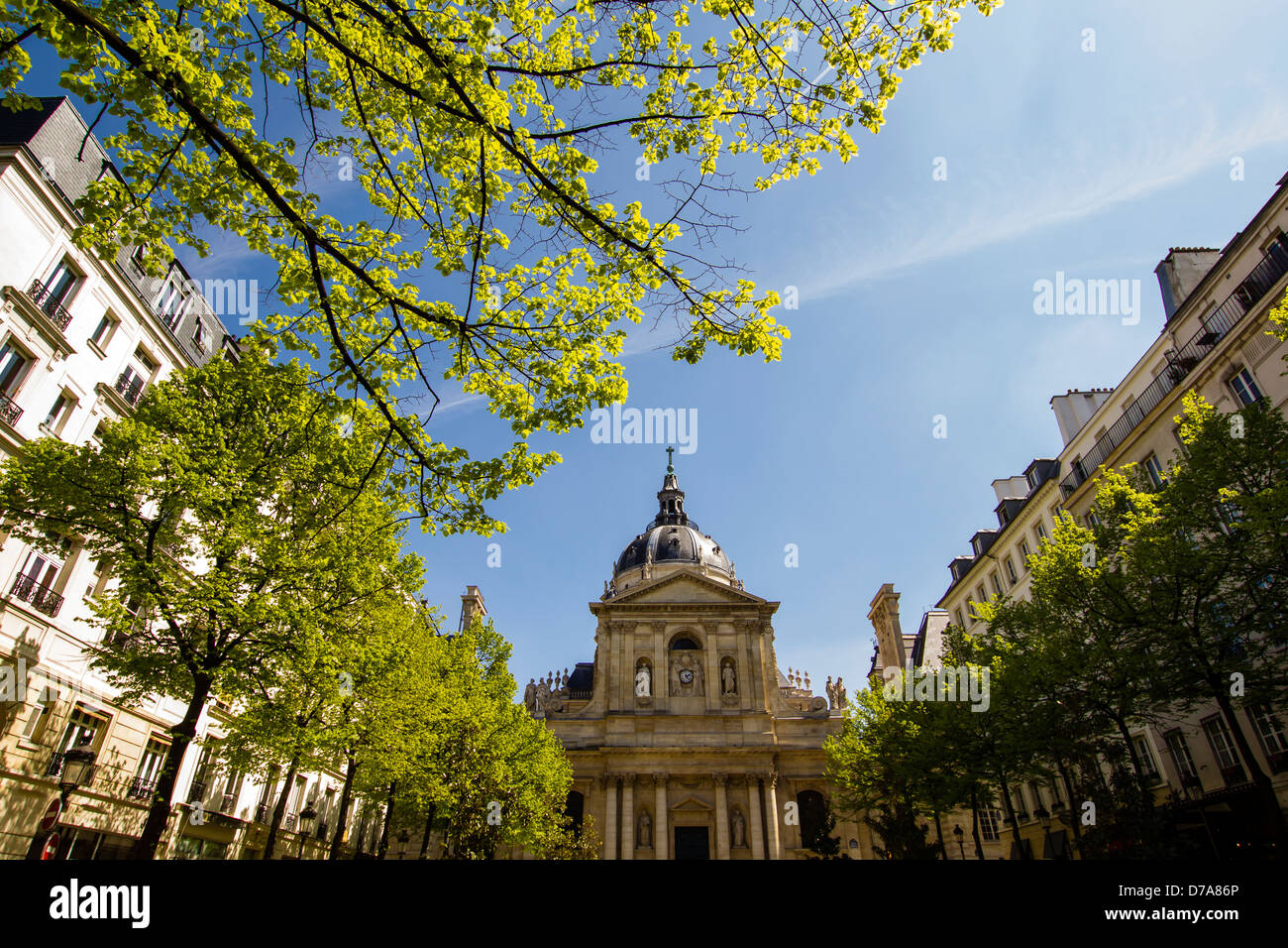 Sorbonne - one of the most famous European universities with it's surrounding buildings and spring trees Stock Photo