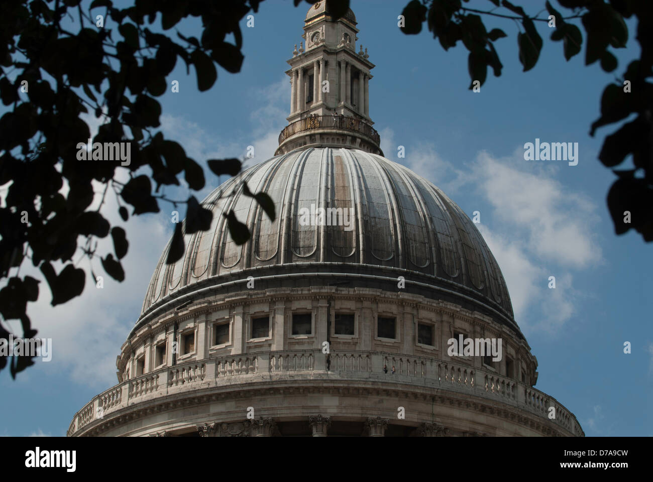 View of the top of St.Paul's Cathedral framed by trees, London, England. Stock Photo