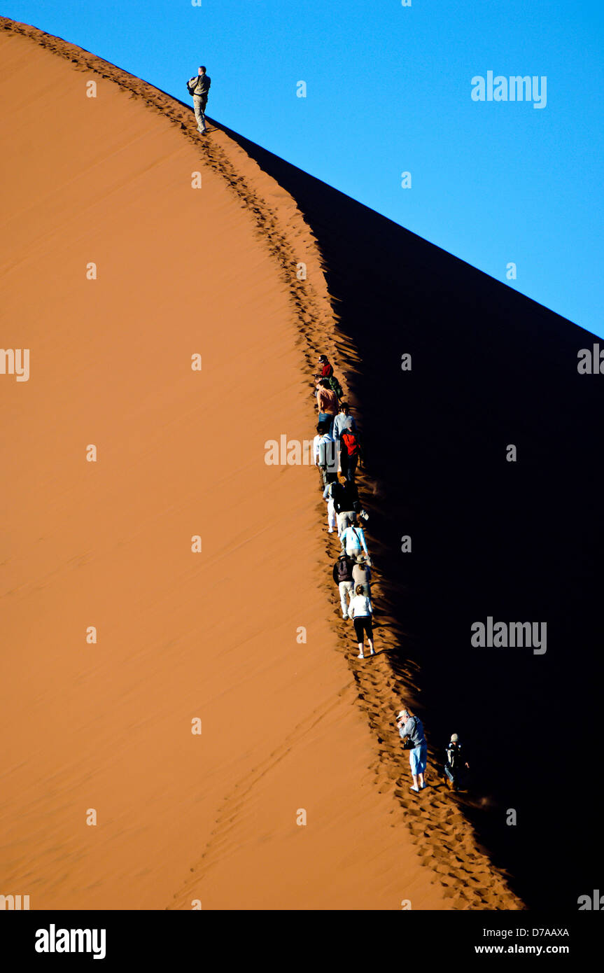 Tourists climbing giant sand dunes Dune 45 at Sossusvlei Namib Desert ...