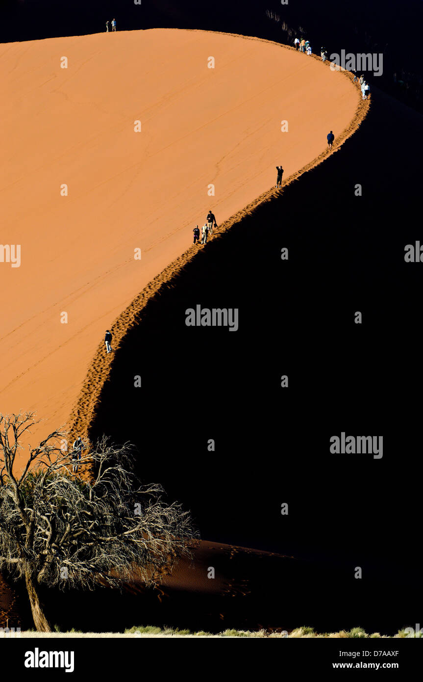 Tourists climbing giant sand dunes Dune 45 at Sossusvlei Namib Desert ...