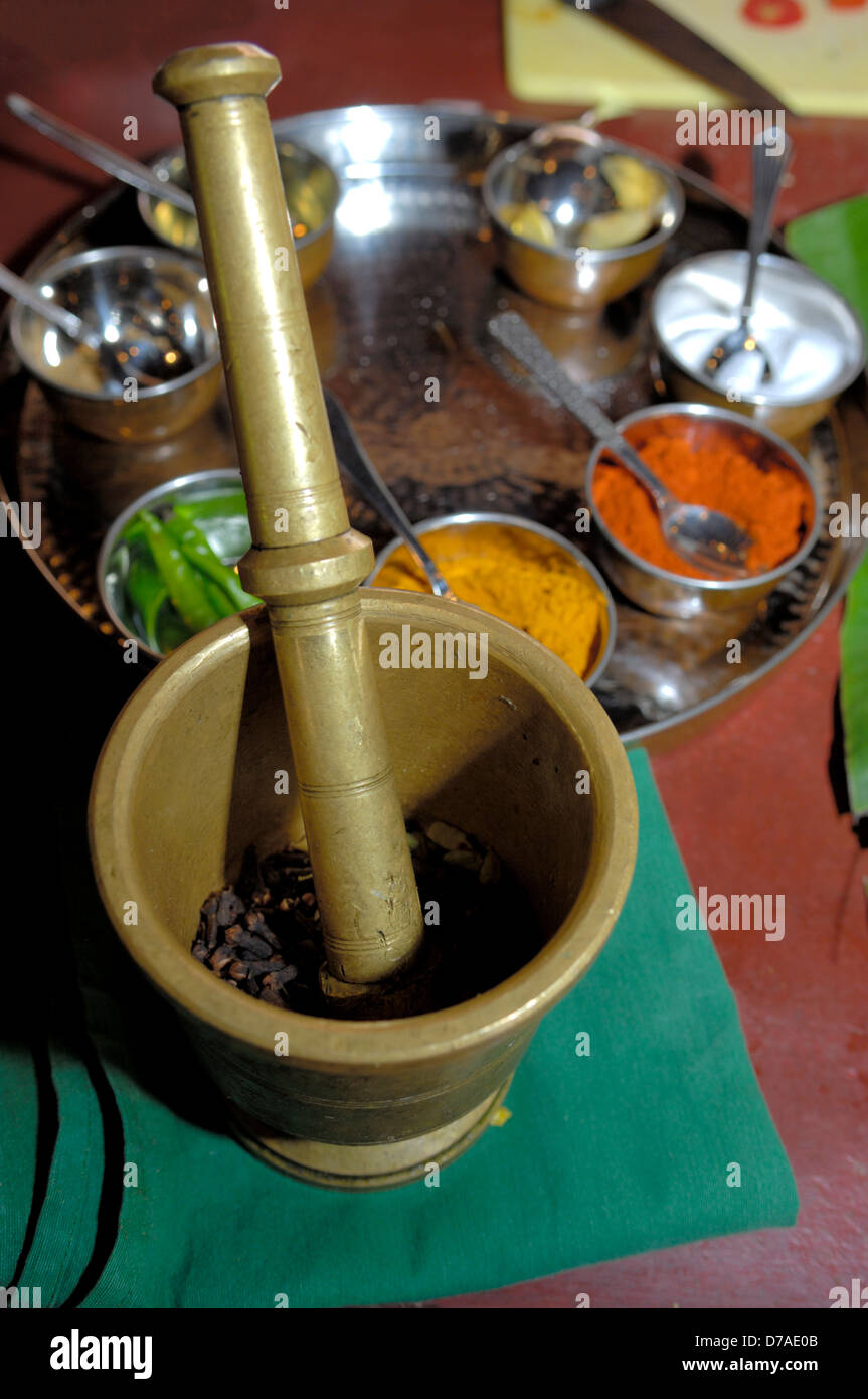 Mortar and pestle grinding spices Stock Photo Alamy