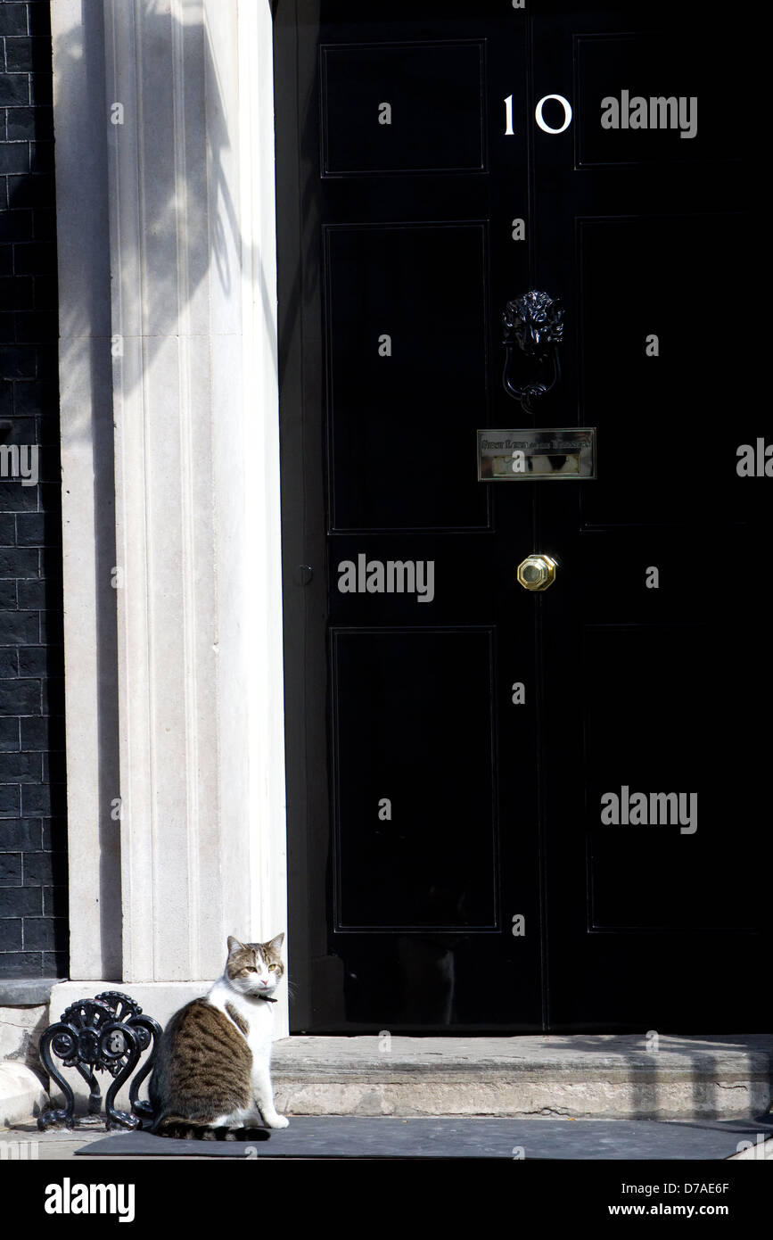 Larry the Cat,Downing Street,London Stock Photo