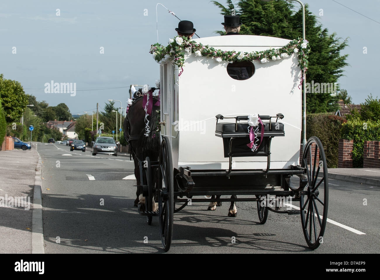 White vintage horse drawn wedding carriage being pulled by 2 horses