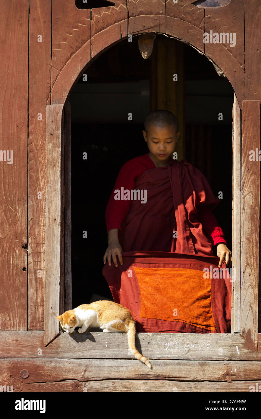 Young monk playing with a cat in Shwe Yaunghwe Kyaung Monastery, Myanmar 3 Stock Photo