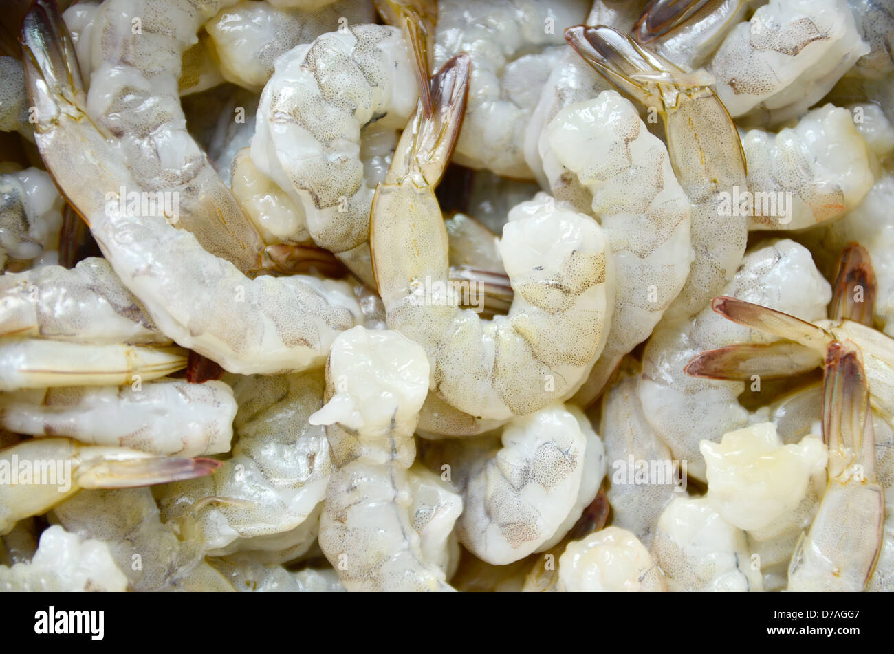Peeled prawn Stock Photo