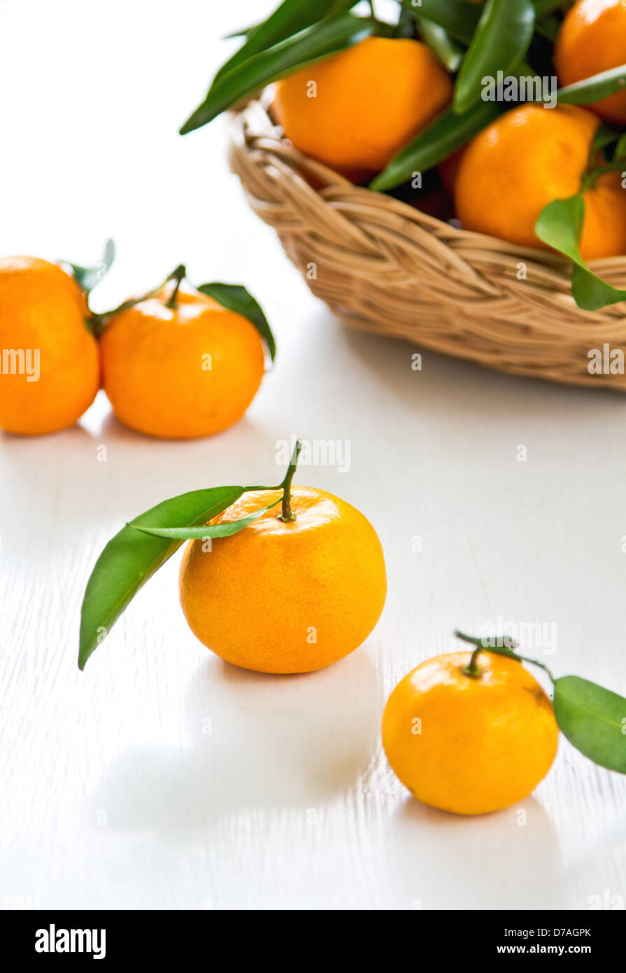 Green satsuma hires stock photography and images Alamy