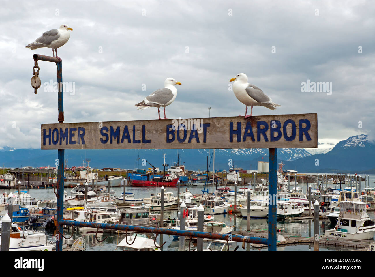 Homer small boat harbor, Alaska Stock Photo Alamy