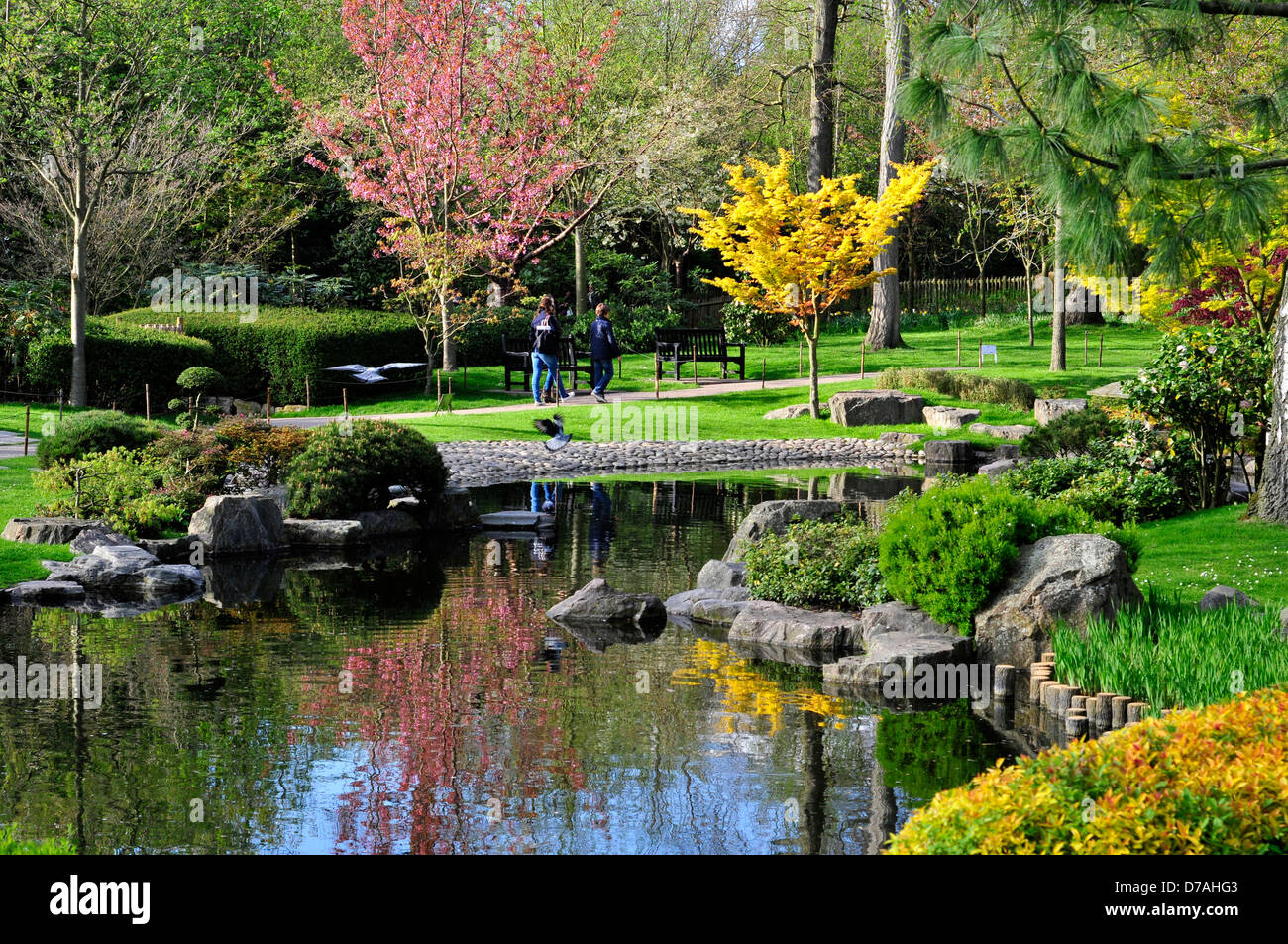 A view of Kyoto Japanese garden in Holland Park. London, UK. Stock Photo