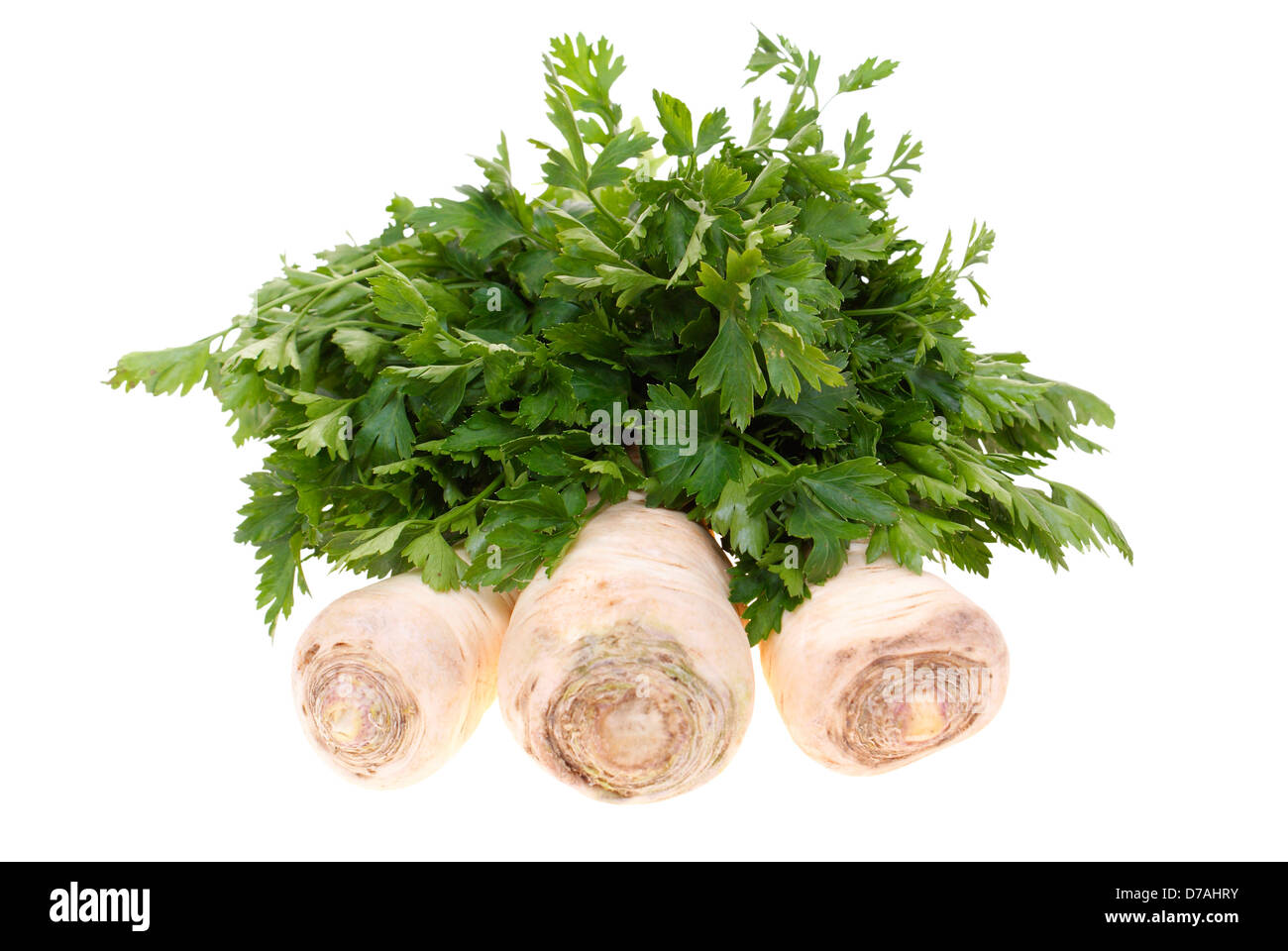 three big parsleys isolated on white background Stock Photo