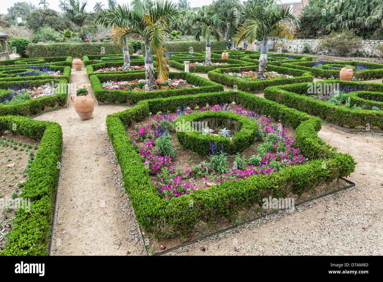 Large clay planters and clipped boxwood hedges are part of the formal gardens in the Bermuda Botanical Gardens. Stock Photo