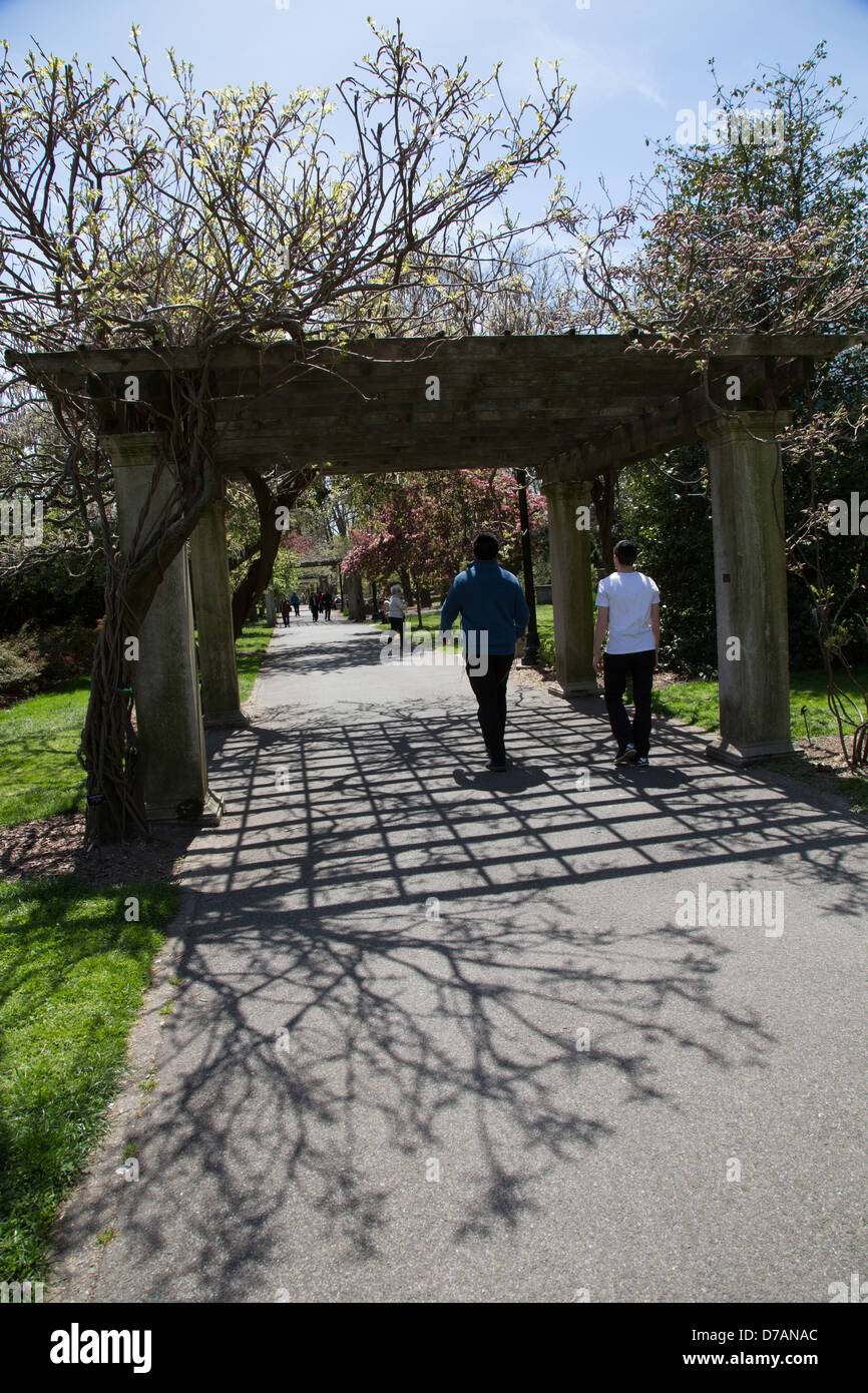 Brooklyn Botanic Garden, New York, NY Stock Photo Alamy