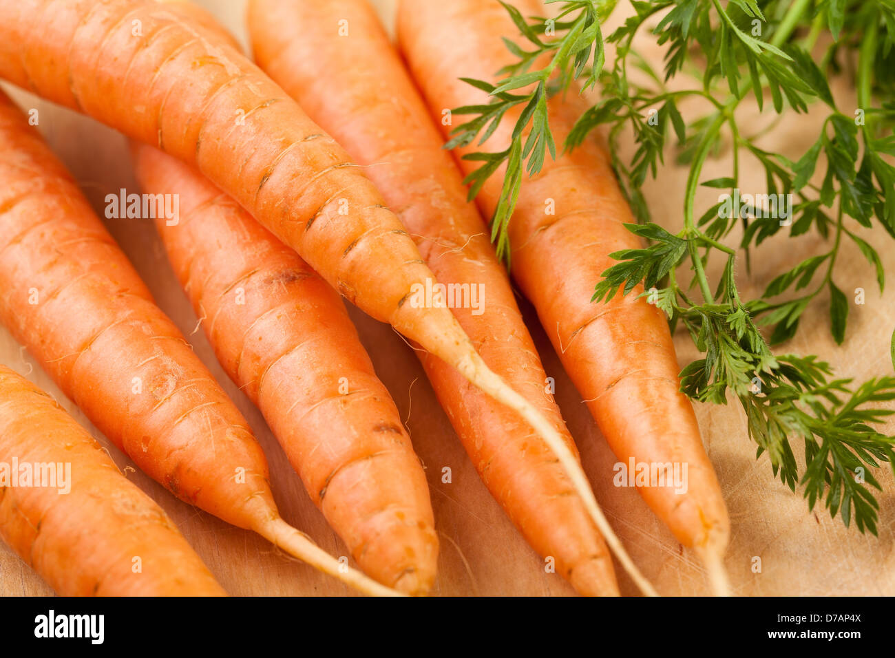 Nutrition of carrots hires stock photography and images Alamy
