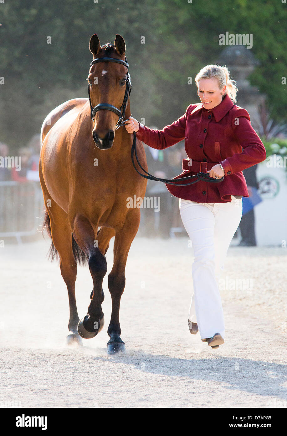 Badminton House, Gloucestershire, UK. 2nd May 2013.  Ms Zara Phillips MBE runs alongside her horse High Kingdom during First Horse Inspection at the Badminton Horse Trials, held in the park of Badminton House, Gloucestershire. Zara, the daughter of the Princess Royal and granddaughter of Queen Elizabeth II, won a silver medal during the London Olympic Games. 2nd May 2013. Credit: Adam Gasson/Alamy Live News Stock Photo