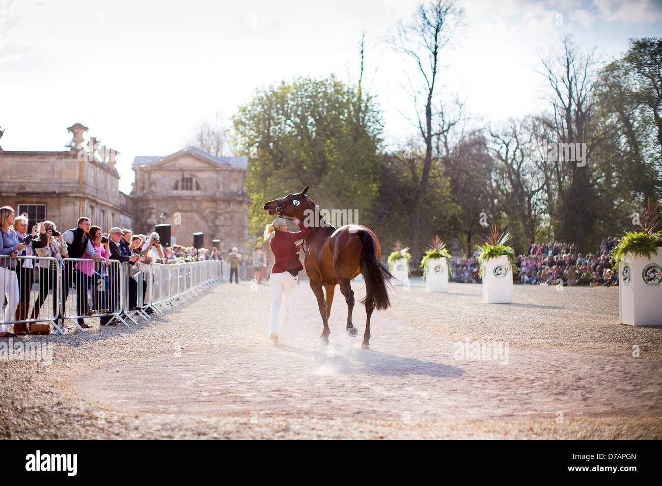 Badminton House, Gloucestershire, UK. 2nd May 2013.  Ms Zara Phillips MBE runs alongside her horse High Kingdom during First Horse Inspection at the Badminton Horse Trials, held in the park of Badminton House, Gloucestershire. Zara, the daughter of the Princess Royal and granddaughter of Queen Elizabeth II, won a silver medal during the London Olympic Games. 2nd May 2013. Credit: Adam Gasson/Alamy Live News Stock Photo