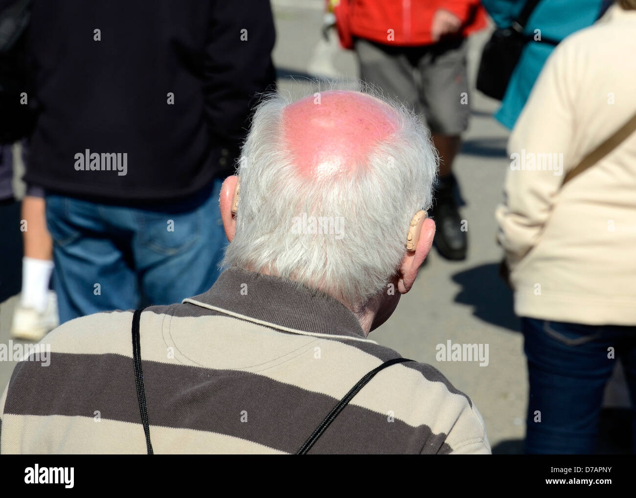 a rear view of an elderly man with a bald head Stock Photo