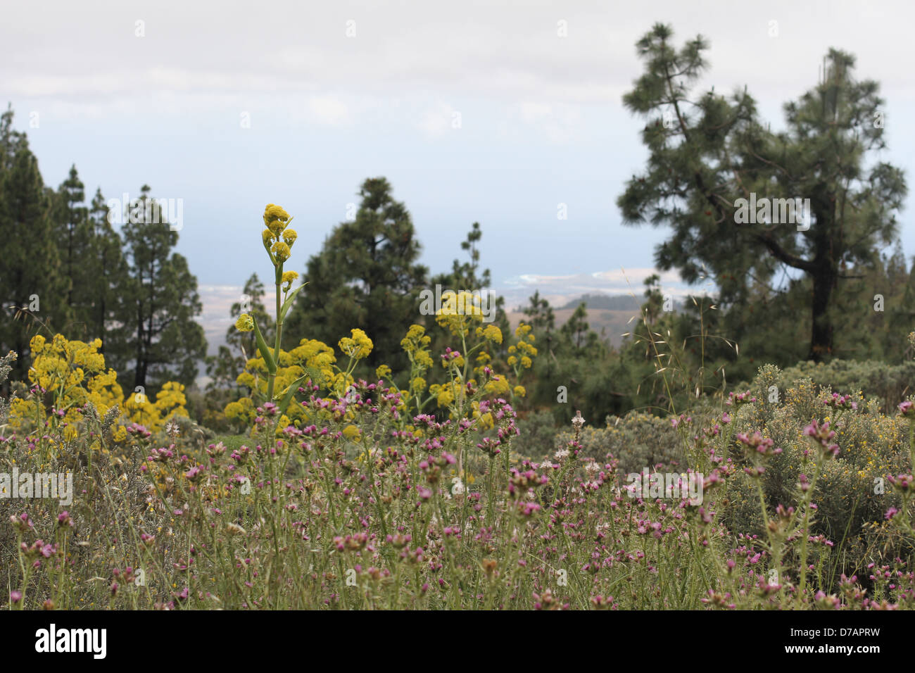 Beautiful views of Gran Canaria Stock Photo