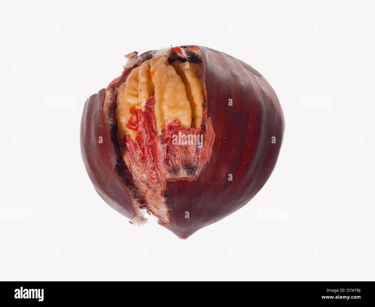 A cracked hazelnut and shell on a white background Stock Photo - Alamy