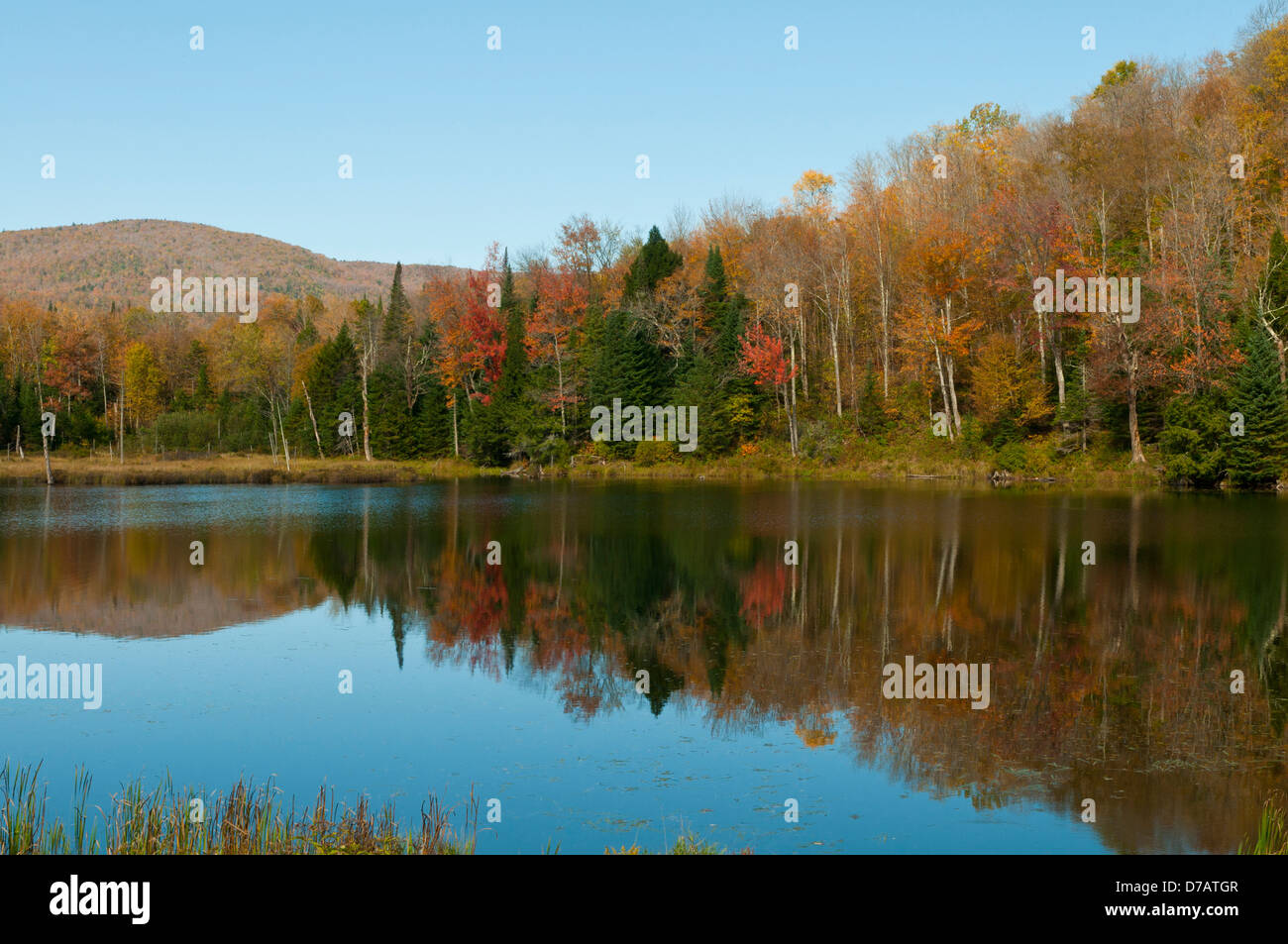 Belvidere hires stock photography and images Alamy