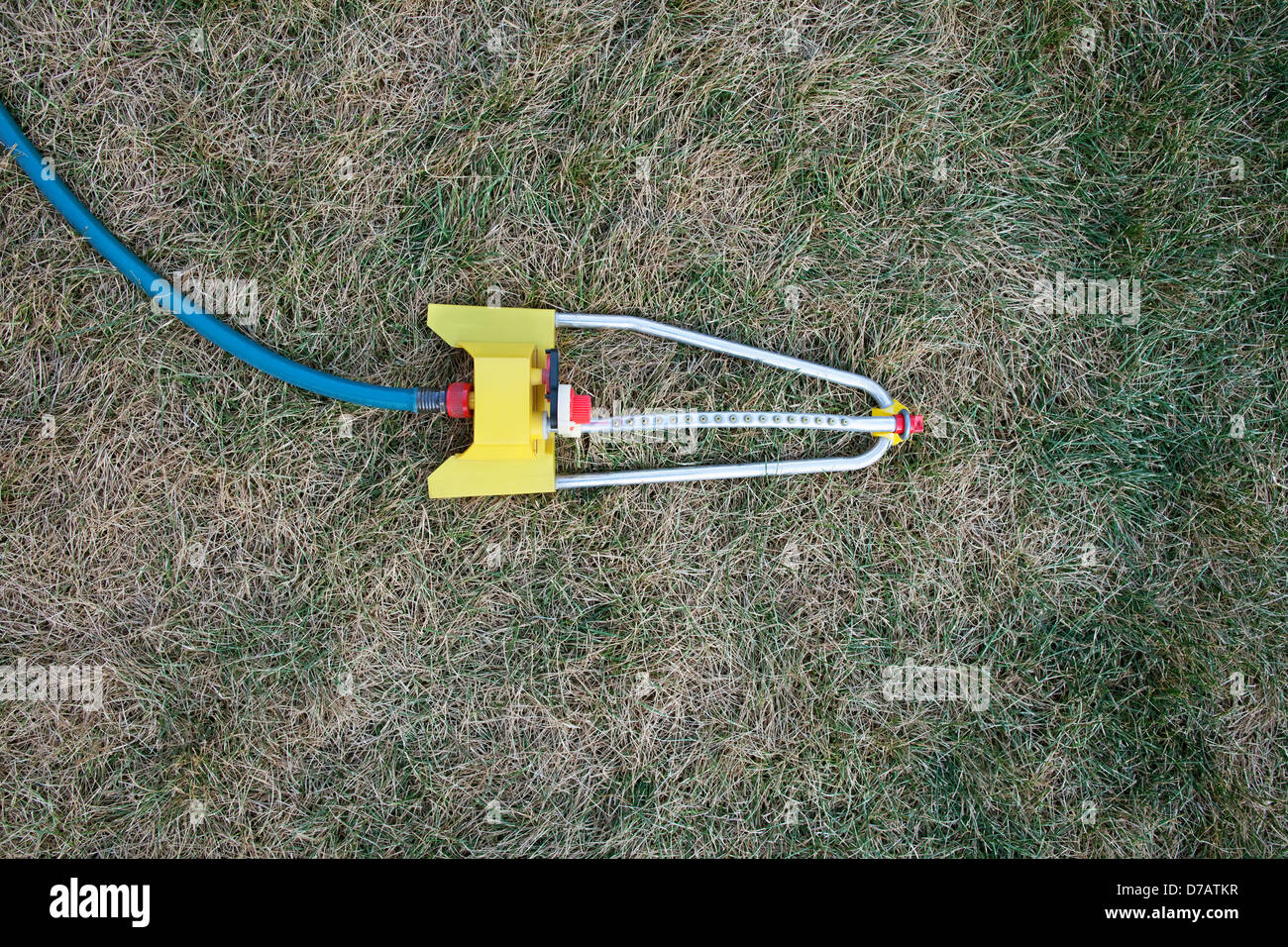 Lawn Sprinkler On Parched Grass; Brampton Ontario Canada Stock Photo