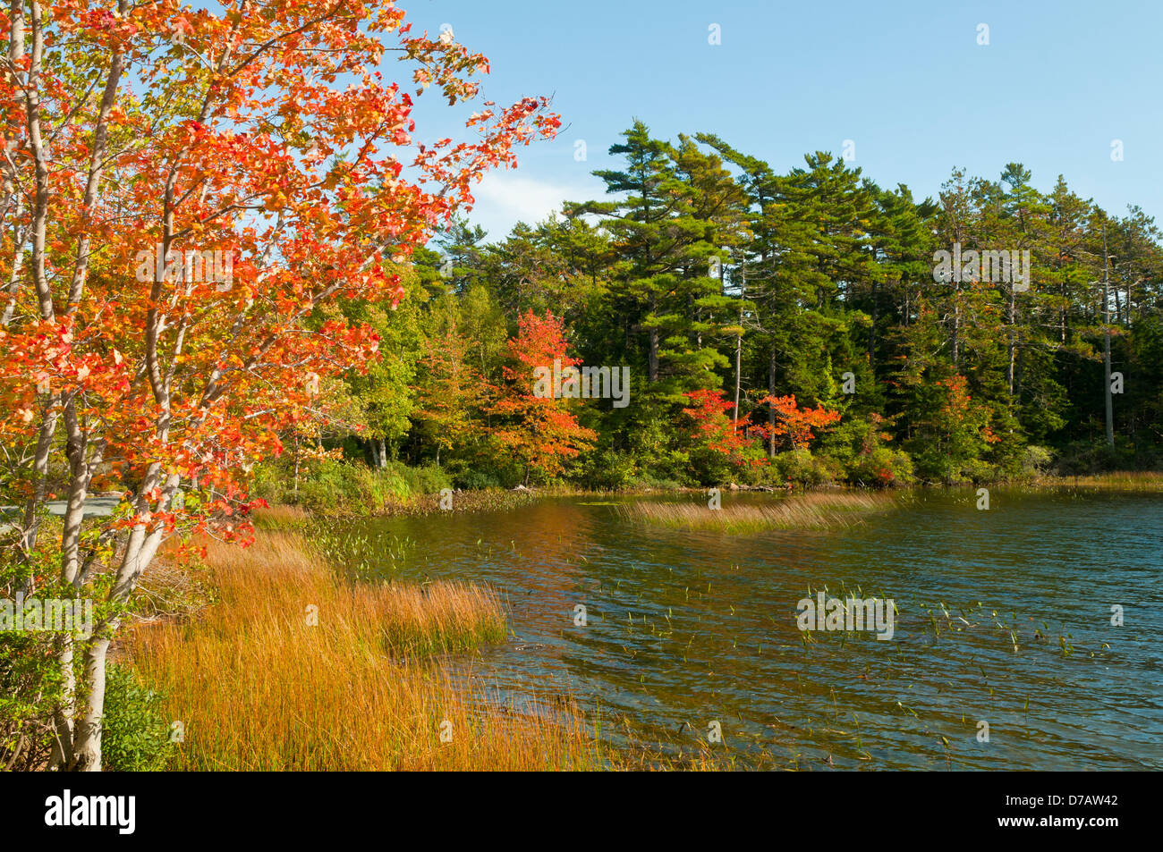 Eagle Lake, Acadia NP, Maine, USA Stock Photo Alamy