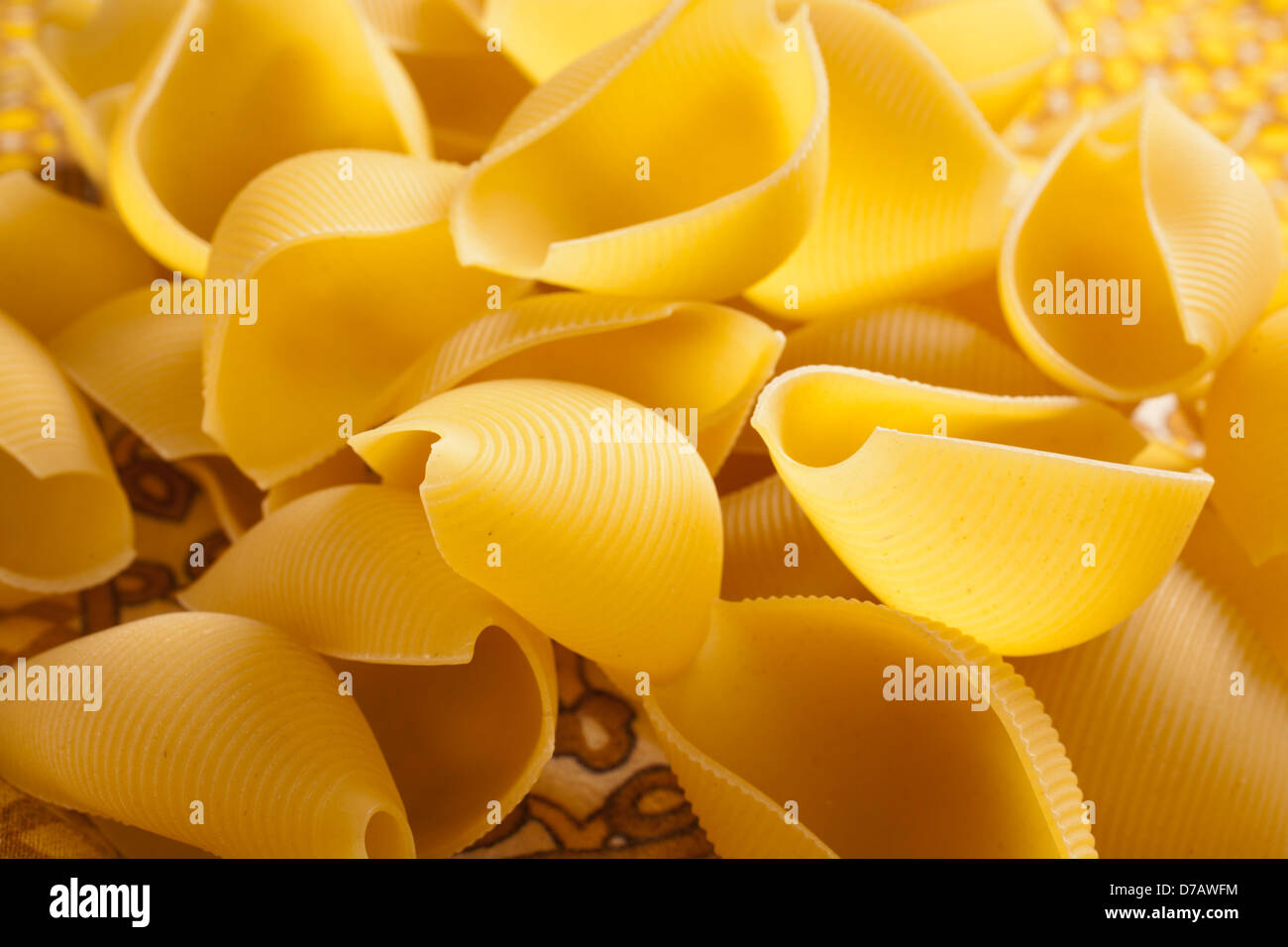 Dry Pasta Shells Stock Photo
