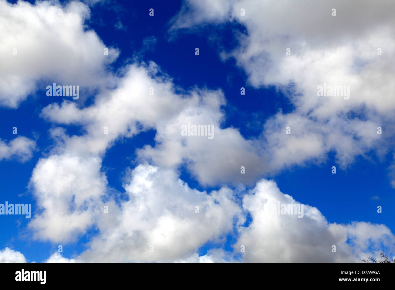 Blue Sky, White Cumulous Clouds, meterology, weather, skies cloud Stock Photo