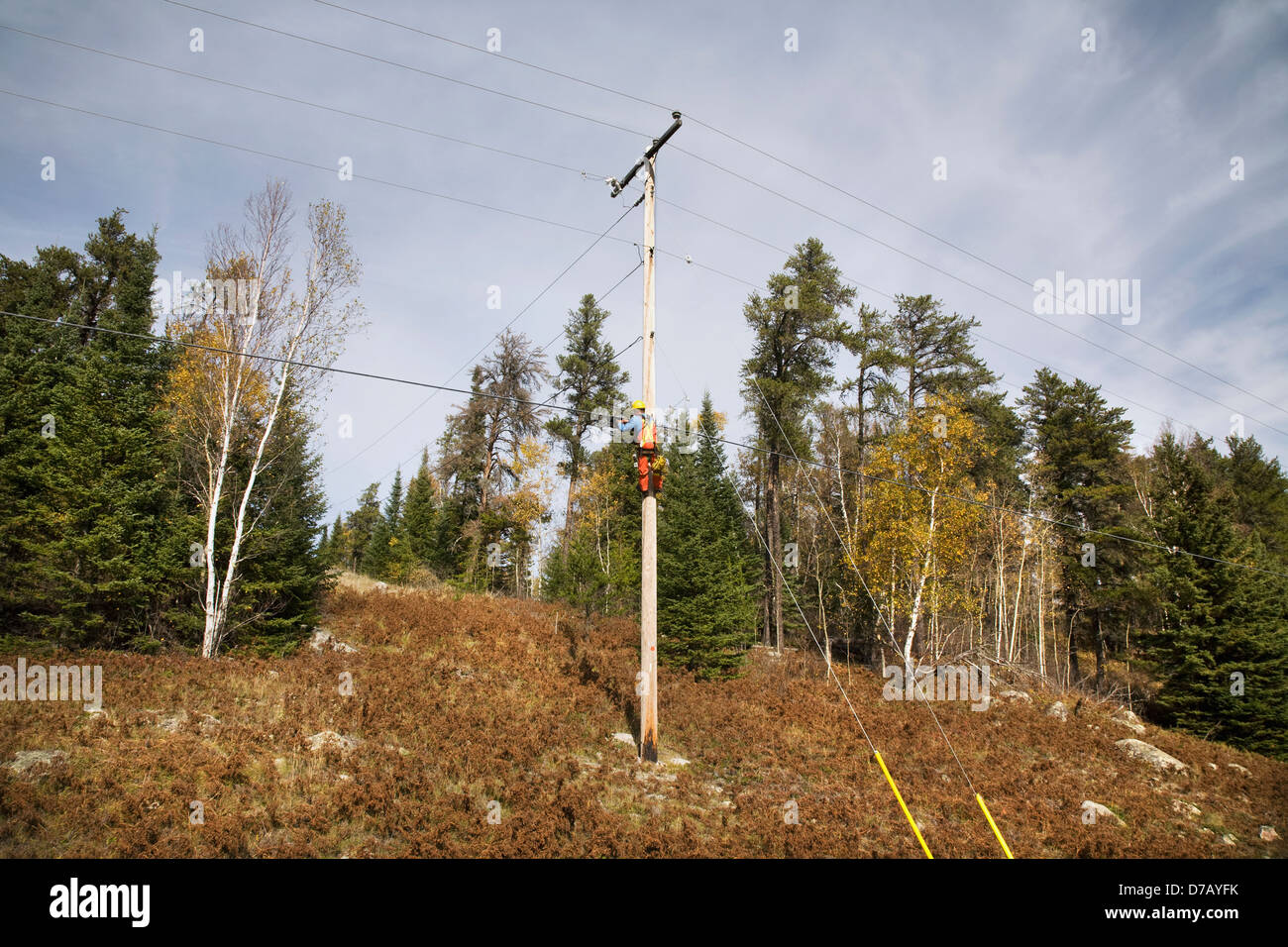 Worker fixing electrical wires on utility pole; ontario canada Stock