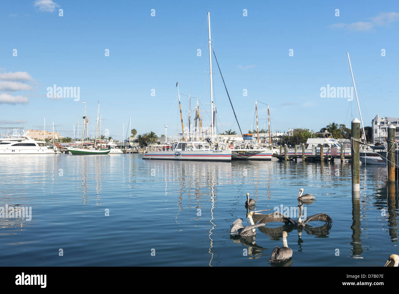 Sailing ships, Key West, Florida, USA Stock Photo Alamy