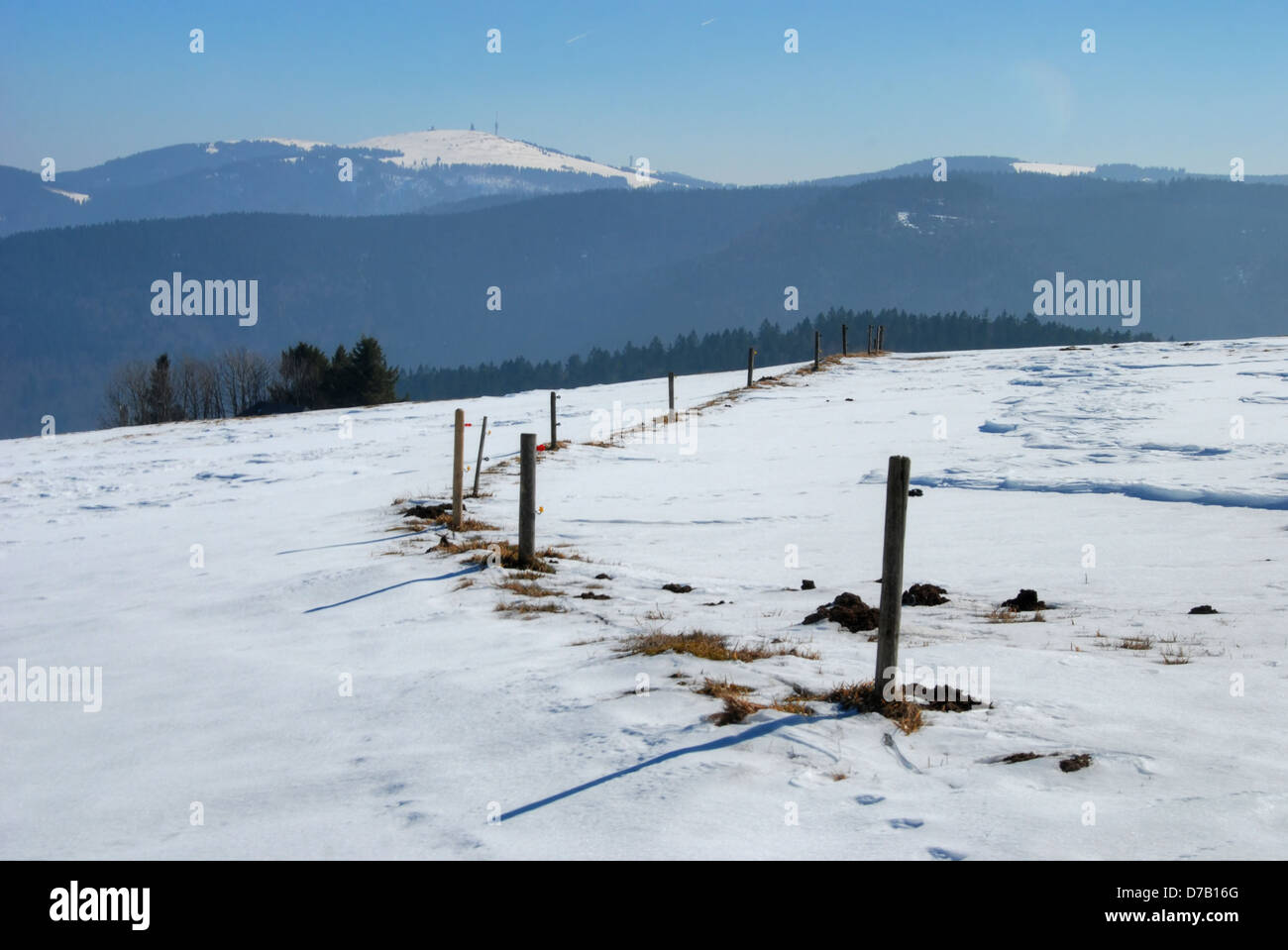Fence posts in the snow, in the Black Forest Stock Photo