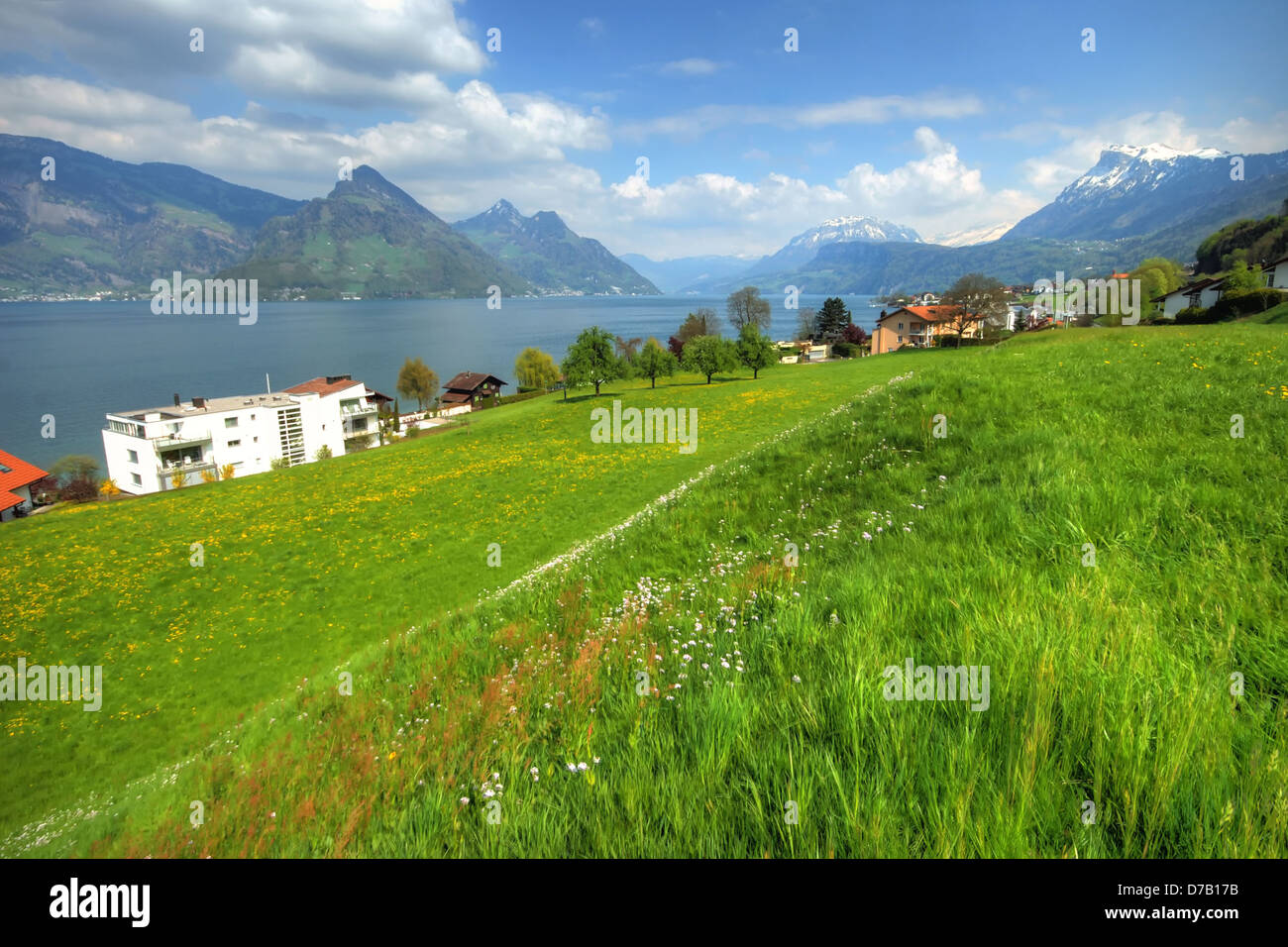 Meadow with Lake Lucerne behind Stock Photo
