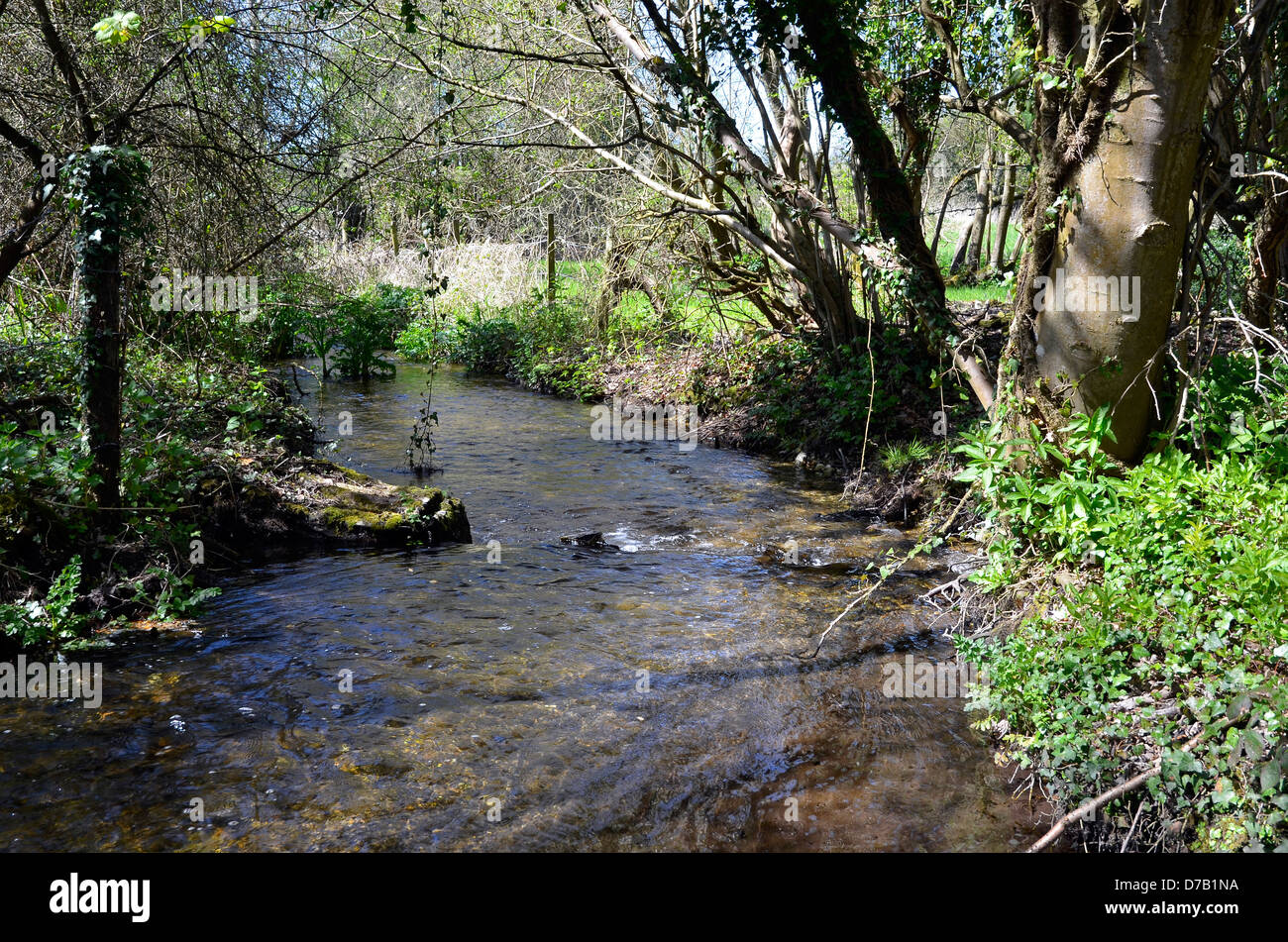 Small chalk stream in early spring - a tributary of the River Itchen near Itchen Stoke, Hampshire, England Stock Photo