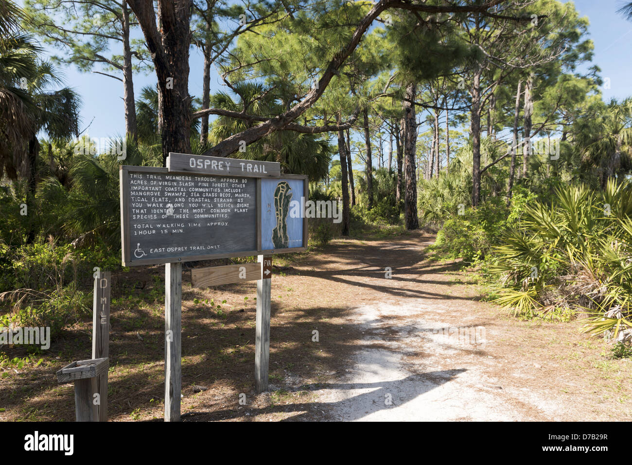 Osprey Trail, Honeymoon Island, Florida, USA Stock Photo Alamy