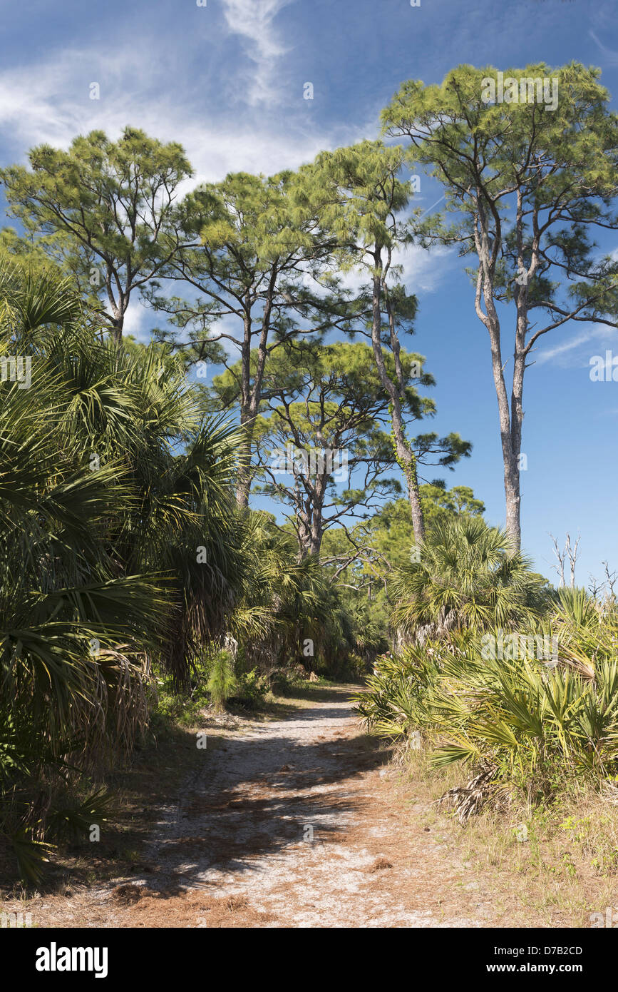 Osprey Trail, Honeymoon Island, Florida, USA Stock Photo Alamy
