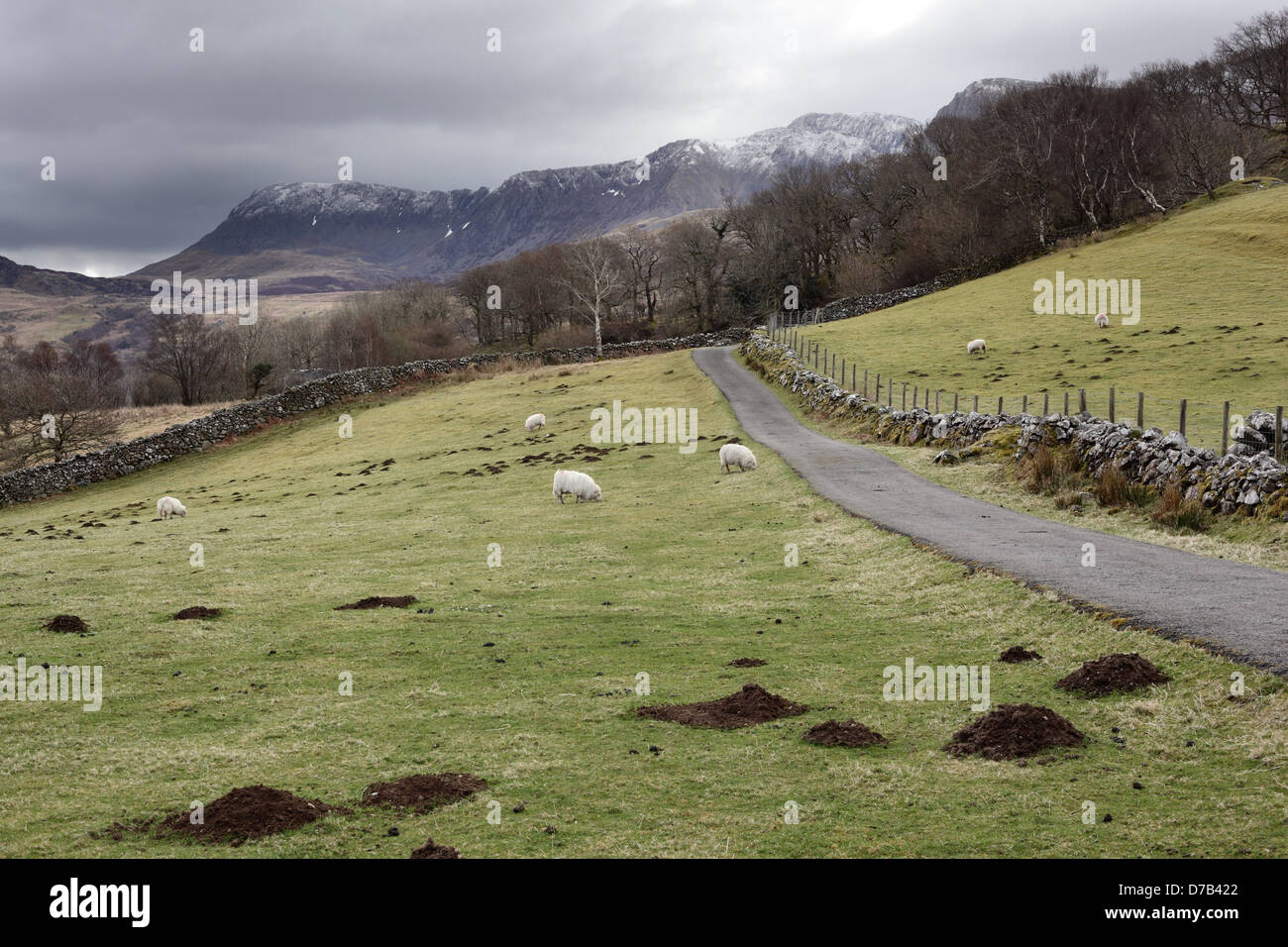 The mountain Cadair Idris in Snowdonia National Park, Gwynedd, Wales, April 2013 Stock Photo