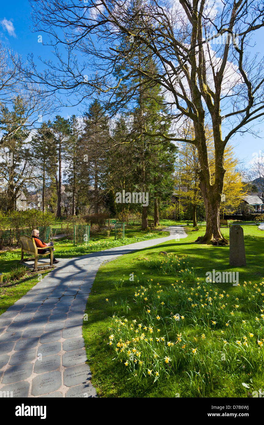 Wordsworth Daffodil Garden Grasmere Village Cumbria Lake District