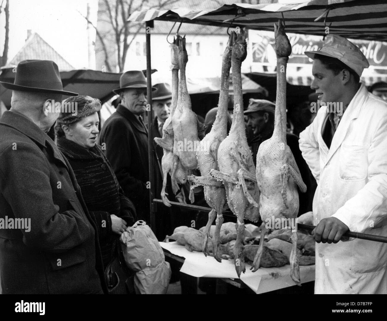 Recently butchered geese are offered for Christmas dinner on a market in Northern Germany in December 1956. Stock Photo