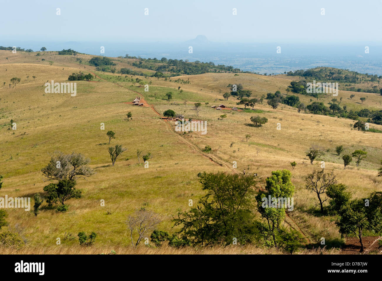 foothills-on-mount-gorongosa-mozambique-stock-photo-alamy