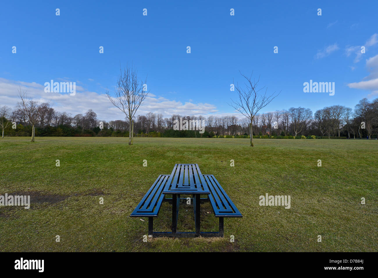 Picnic bench in park Stock Photo