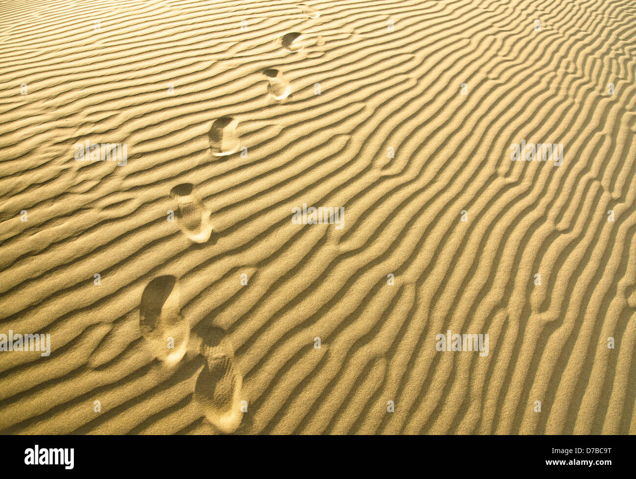 Footprints in dry desert. Stock Photo