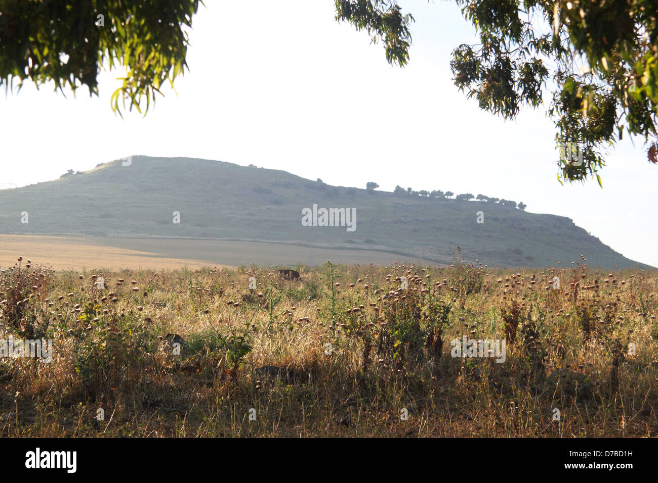 Horns of Hattin overlooking the plains of Hattin in the Lower Galilee