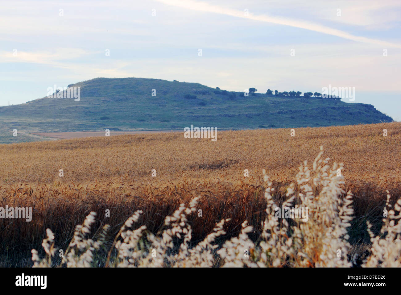 20020a hires stock photography and images Alamy